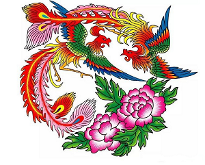 �����Ļ�������